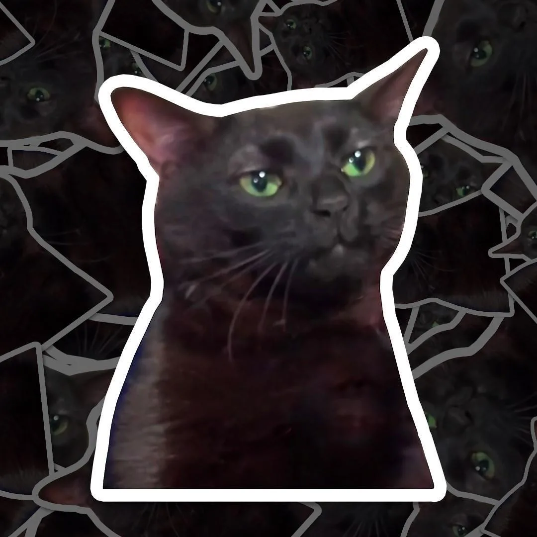 Cat Zoning Out Meme Sticker