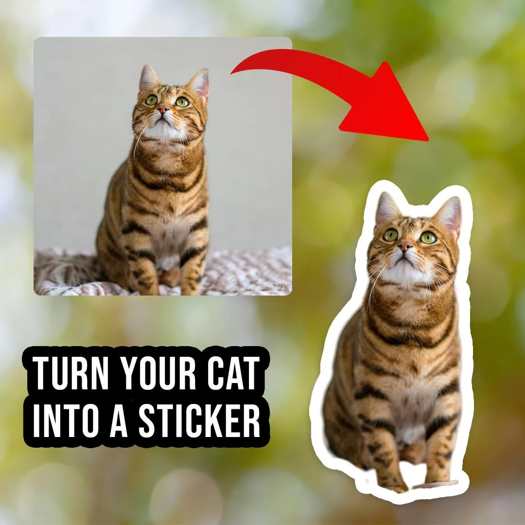 Custom Cat Sticker