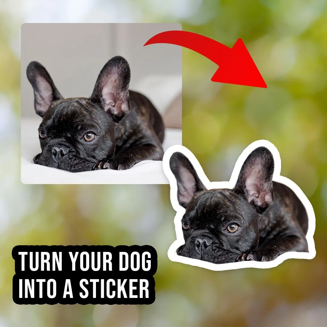 Custom Dog Sticker