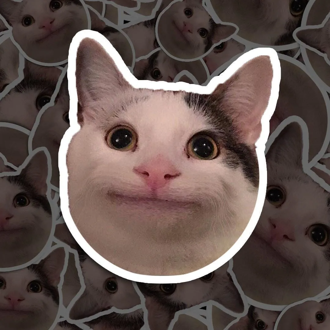 Polite Cat Meme Sticker