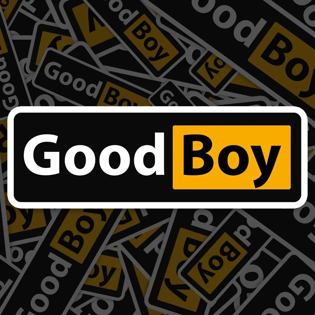 Good Boy Meme Sticker